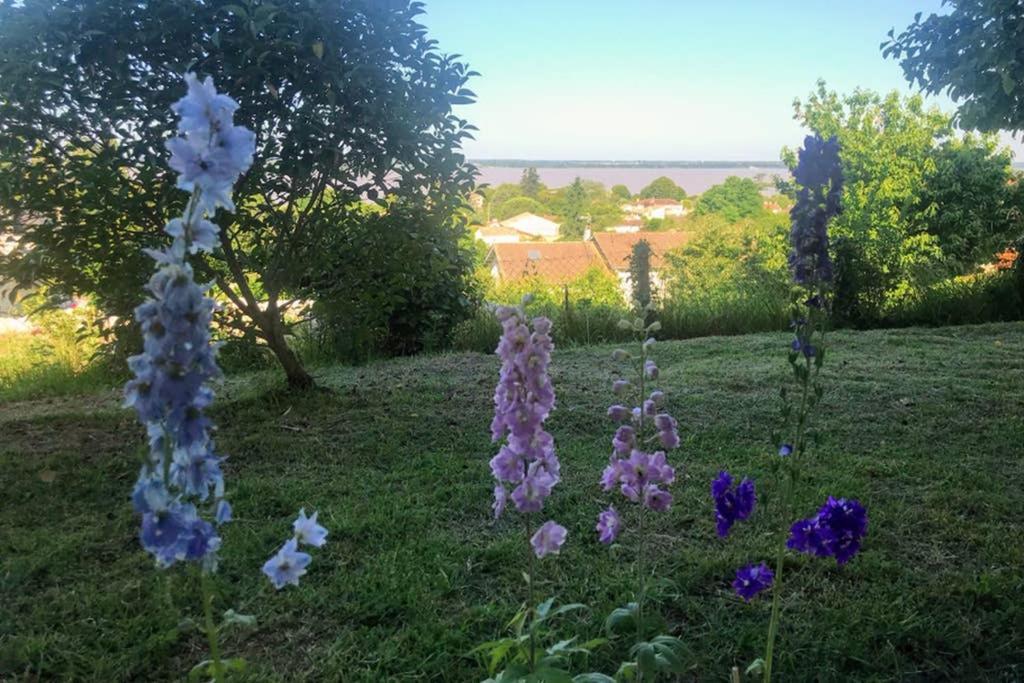 Appartement Avec Vue Panoramique Sur L'Estuaire De La Gironde Plassac  Экстерьер фото